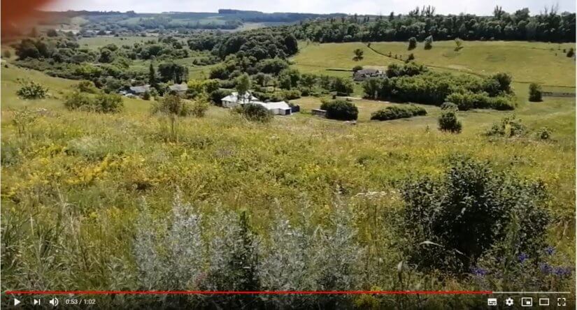 Рядом с пасекой в Белгородской области