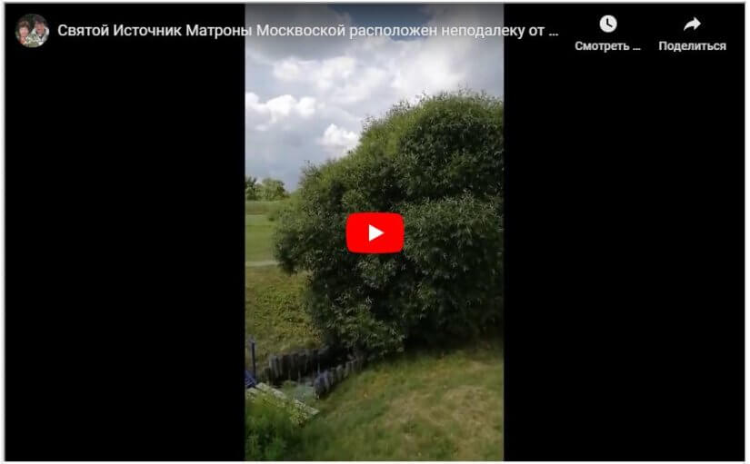 Мощный родник рядом с пасекой